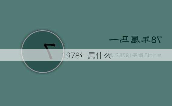 1978年属什么