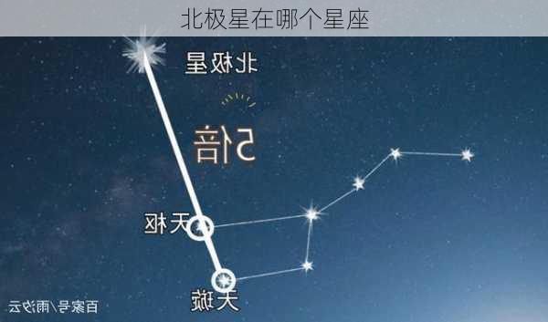 北极星在哪个星座