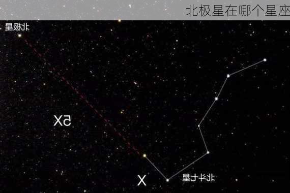 北极星在哪个星座