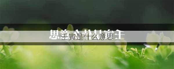 壬寅是什么意思