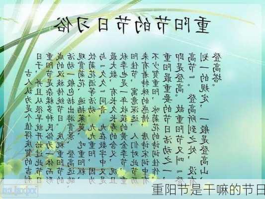 重阳节是干嘛的节日