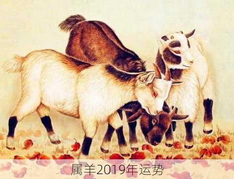 属羊2019年运势