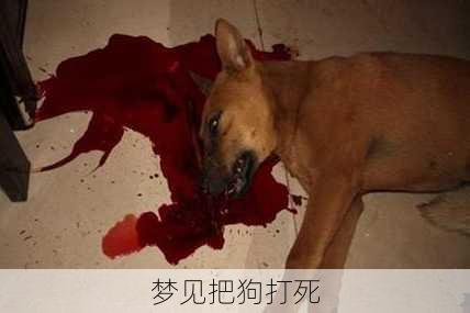 梦见把狗打死