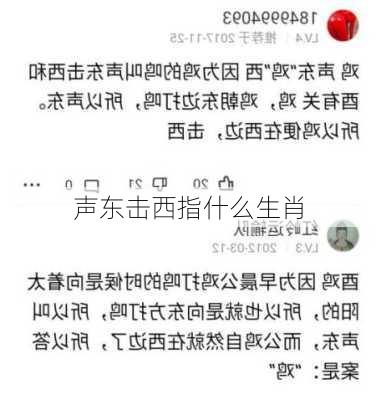 声东击西指什么生肖