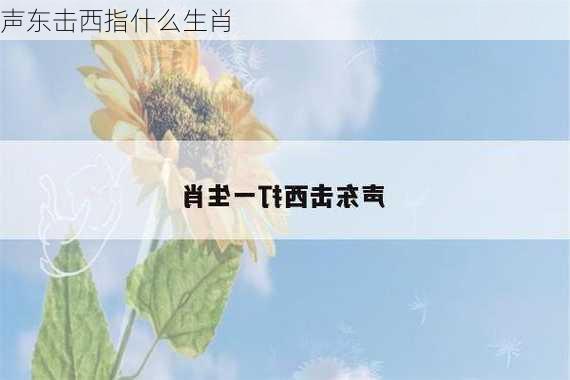 声东击西指什么生肖