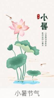 小暑节气