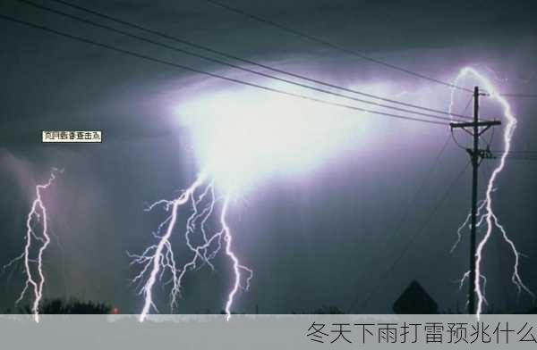 冬天下雨打雷预兆什么