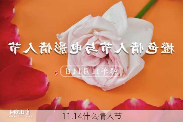 11.14什么情人节