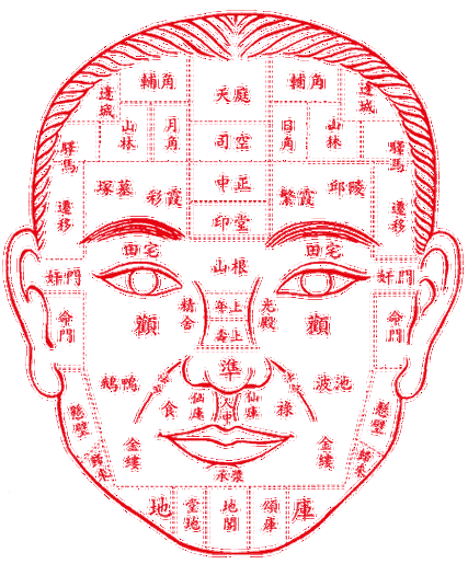 相面学