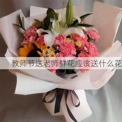 教师节送老师鲜花应该送什么花