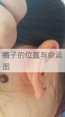 痦子的位置与命运图