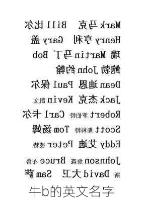 牛b的英文名字