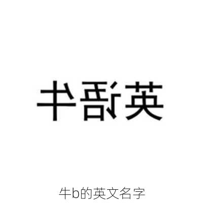 牛b的英文名字