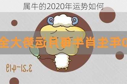 属牛的2020年运势如何