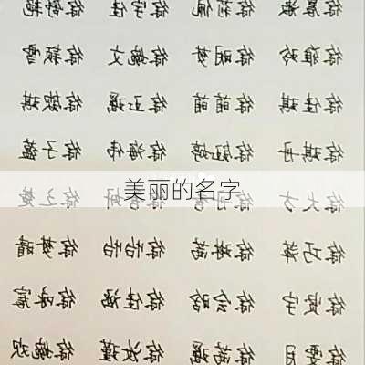 美丽的名字