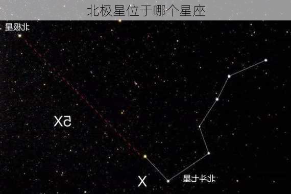 北极星位于哪个星座