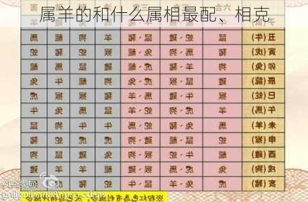 属羊的和什么属相最配、相克