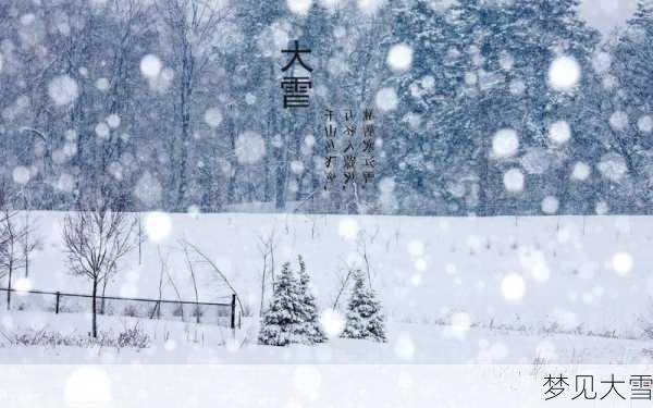 梦见大雪