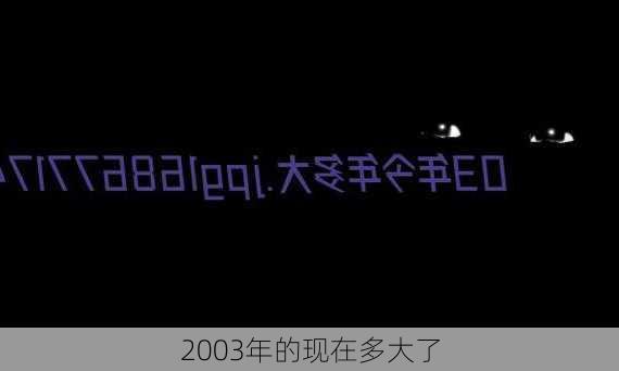 2003年的现在多大了