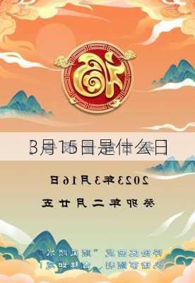 3月15日是什么日