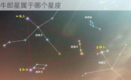 牛郎星属于哪个星座