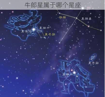 牛郎星属于哪个星座