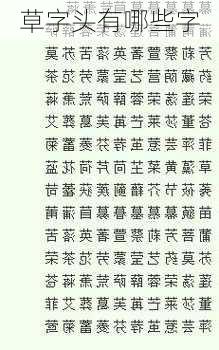 草字头有哪些字