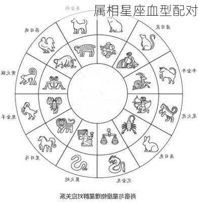 属相星座血型配对