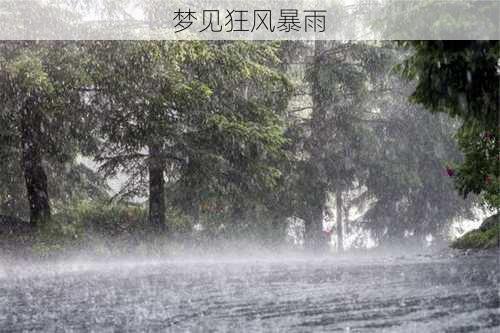 梦见狂风暴雨