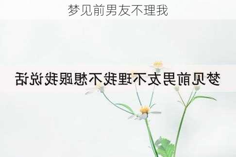 梦见前男友不理我