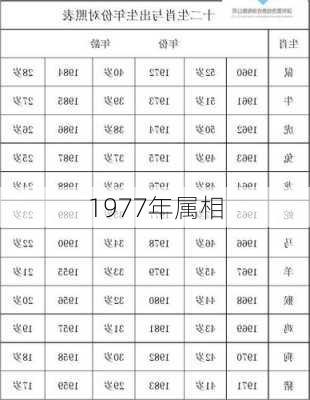 1977年属相