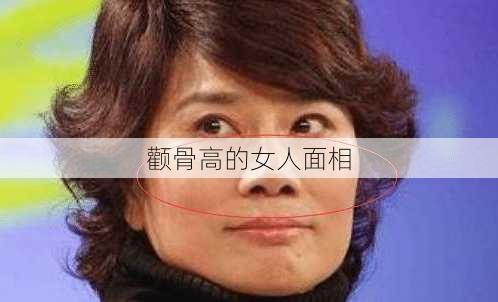 颧骨高的女人面相