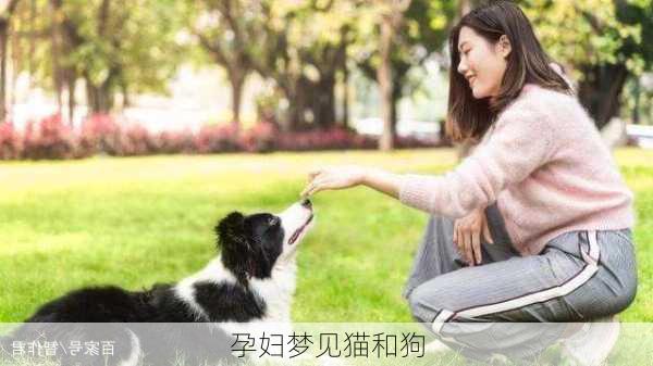 孕妇梦见猫和狗