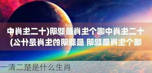 一清二楚是什么生肖