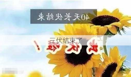 三伏结束了