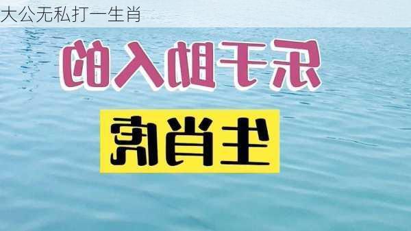 大公无私打一生肖