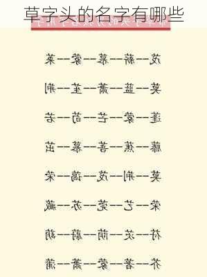 草字头的名字有哪些