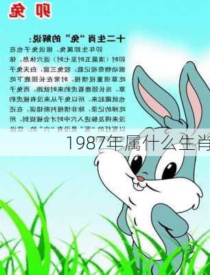 1987年属什么生肖