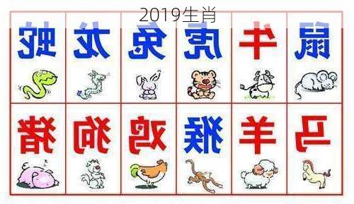 2019生肖