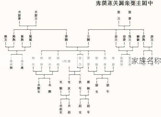 家族名称