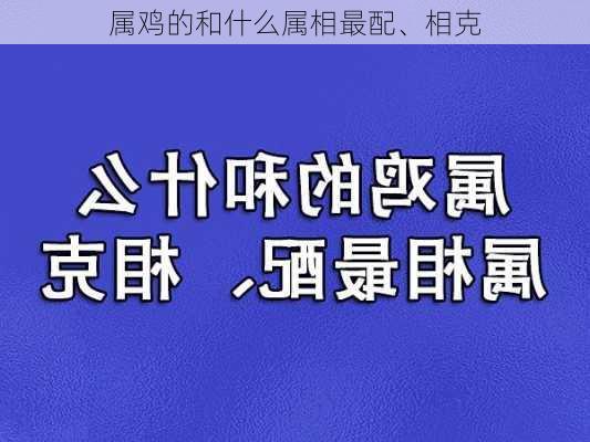 属鸡的和什么属相最配、相克