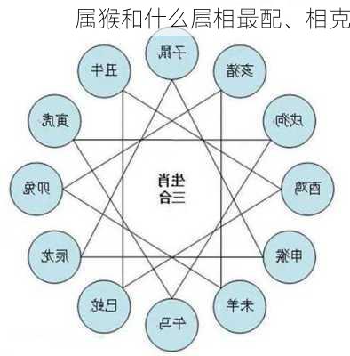 属猴和什么属相最配、相克