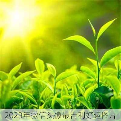 2023年微信头像最吉利好运图片