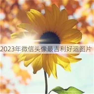 2023年微信头像最吉利好运图片