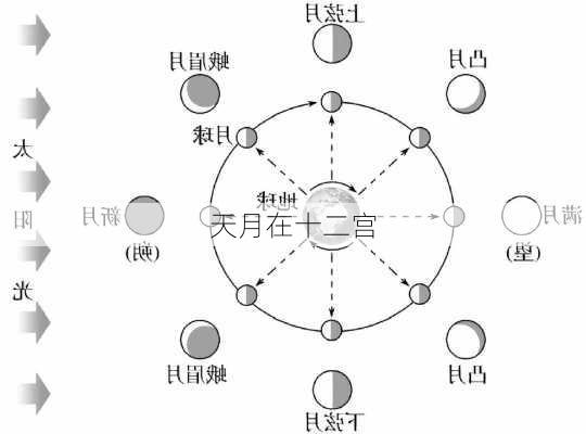 天月在十二宫