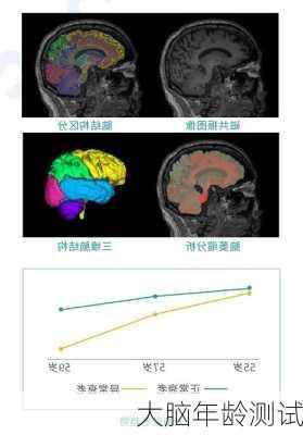 大脑年龄测试