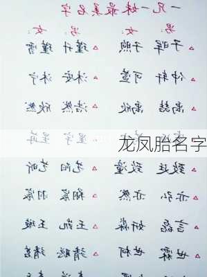 龙凤胎名字