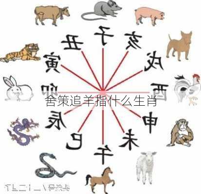 舍策追羊指什么生肖