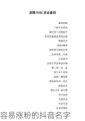 容易涨粉的抖音名字