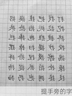 提手旁的字